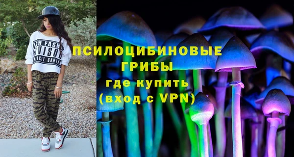 a pvp Арсеньев