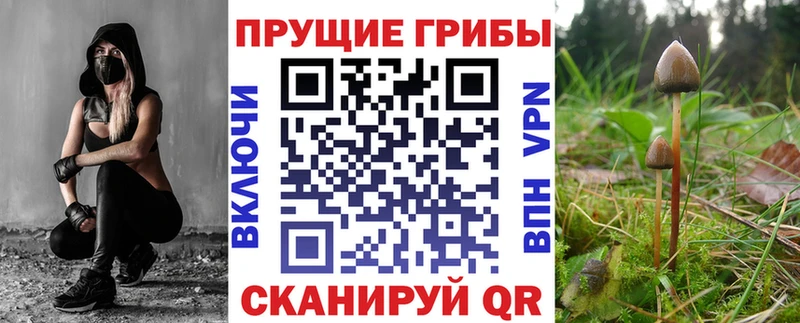 Псилоцибиновые грибы прущие грибы  маркетплейс телеграм  Байкальск 